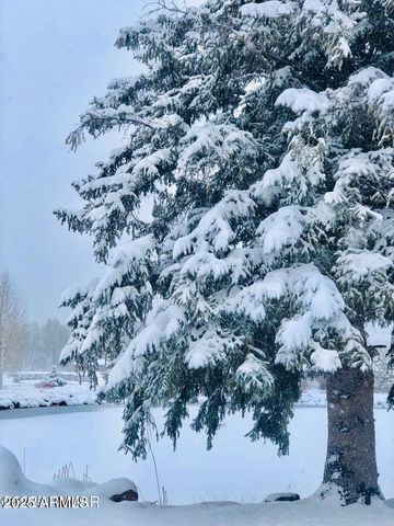 9525 Sierra Springs Drive, Pinetop, AZ 85935