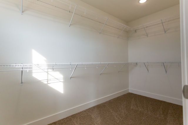 243 Bellshire Drive, Clarksville, TN 37043