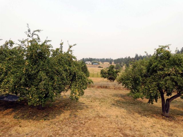 12112 S ANDRUS Rd, Cheney, WA 99004
