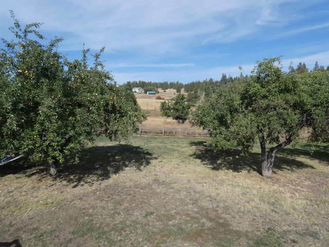 12112 S ANDRUS Rd, Cheney, WA 99004
