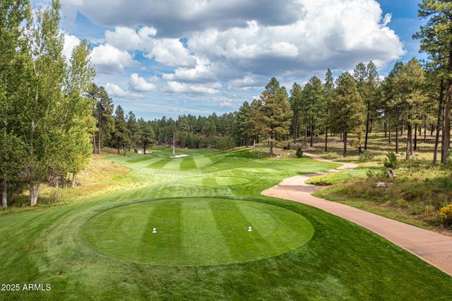 3345 S Ghost Tree Drive 5, Flagstaff, AZ 86005