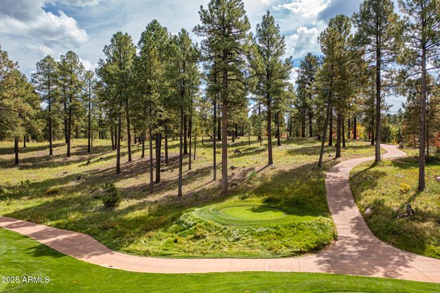 3345 S Ghost Tree Drive 5, Flagstaff, AZ 86005