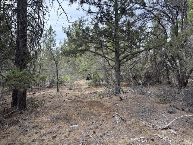 Bunting Dr, Bonanza, OR 97623