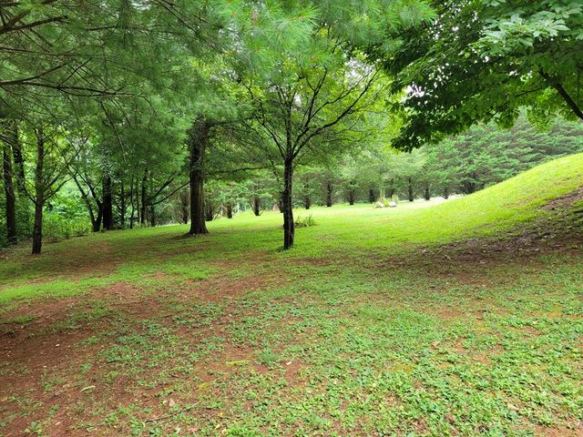 1523 Berrong Road, Hiawassee, GA 30547
