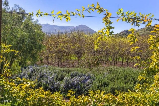4620 Casitas Pass Road, Ventura, CA 93001