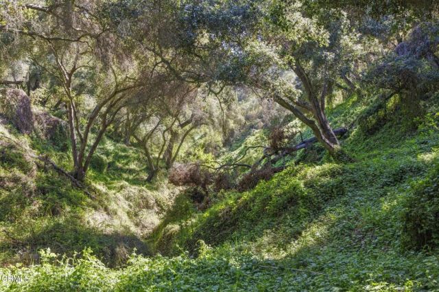 4620 Casitas Pass Road, Ventura, CA 93001