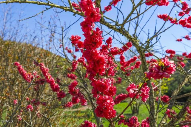 4620 Casitas Pass Road, Ventura, CA 93001