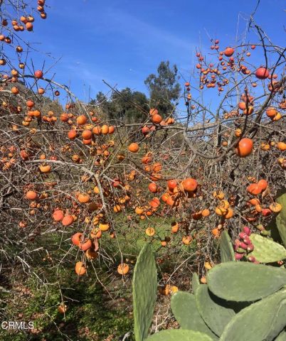 4620 Casitas Pass Road, Ventura, CA 93001