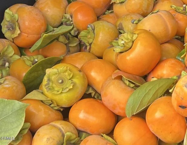 4620 Casitas Pass Road, Ventura, CA 93001