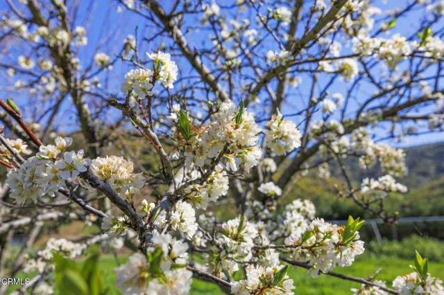 4620 Casitas Pass Road, Ventura, CA 93001