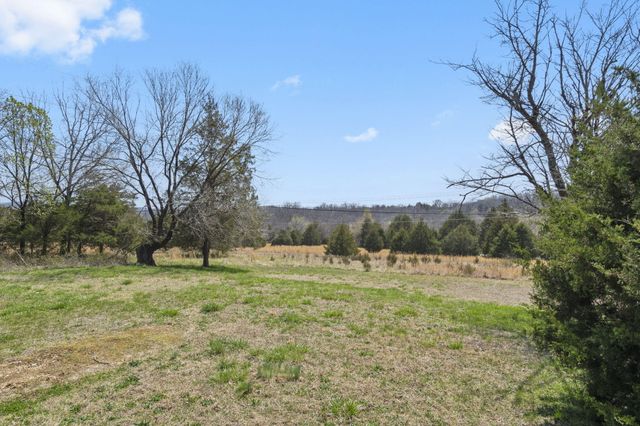 6495 Us Highway 160, Walnut Shade, MO 65771