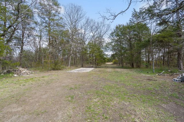 6495 Us Highway 160, Walnut Shade, MO 65771