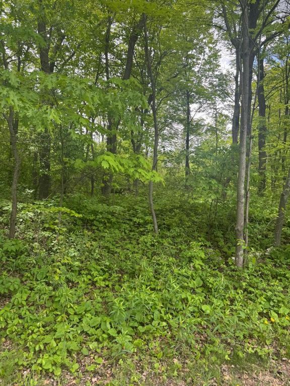 xxxx 241st Avenue NE, Stacy, MN 55079 — photo 4