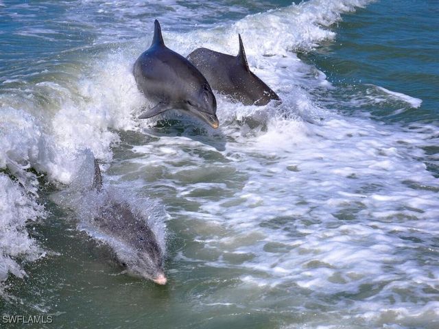 254 Newport DR 412, Naples, FL 34114