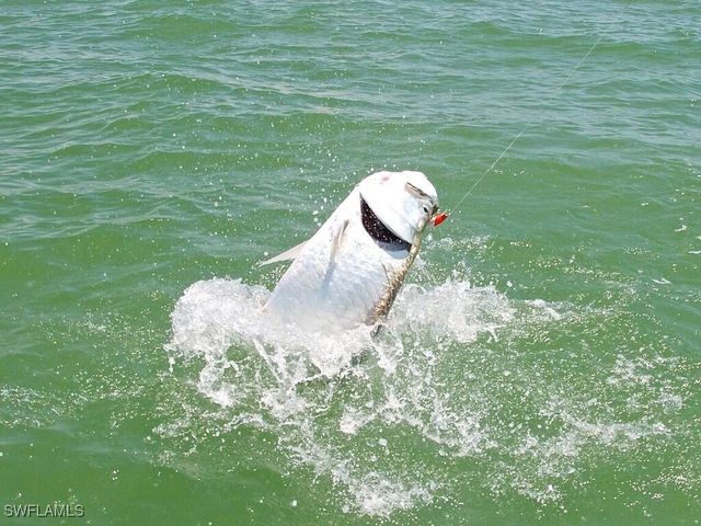 254 Newport DR 412, Naples, FL 34114