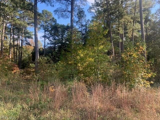 .42AC Pinehaven RD, Courtland, VA 23837
