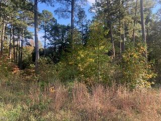 .42AC Pinehaven RD, Courtland, VA 23837
