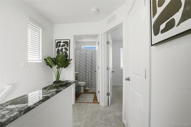 5025 N Yampa Street, Denver, CO 80249