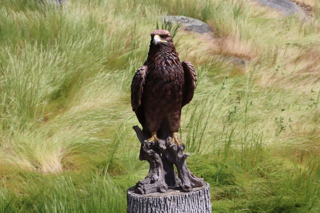 49469 Venado, Coarsegold, CA 93614