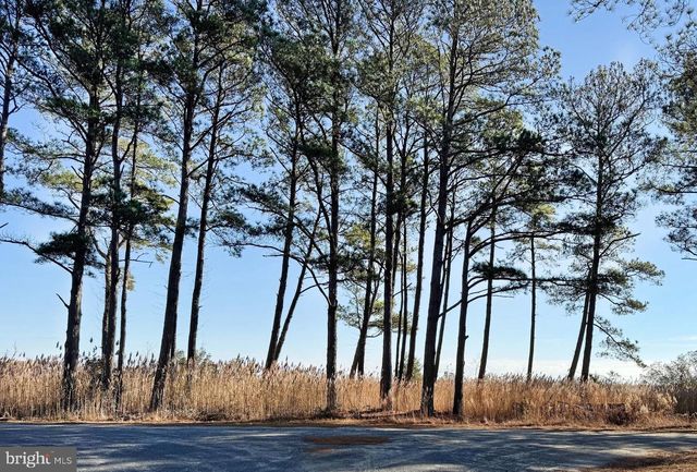 LOT 720 CASTAWAY DR, Greenbackville, VA 23356