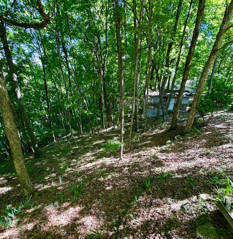 439 Eagles Bluff Road, Monticello, KY 42633