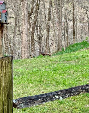 439 Eagles Bluff Road, Monticello, KY 42633