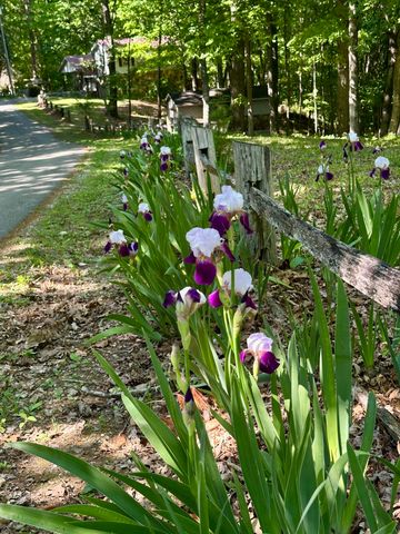 439 Eagles Bluff Road, Monticello, KY 42633