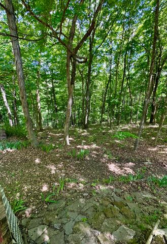439 Eagles Bluff Road, Monticello, KY 42633