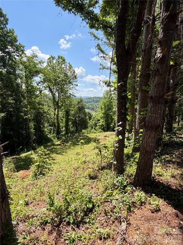 12 Willow Knoll Drive, Weaverville, NC 28787