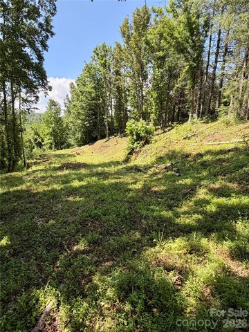12 Willow Knoll Drive, Weaverville, NC 28787