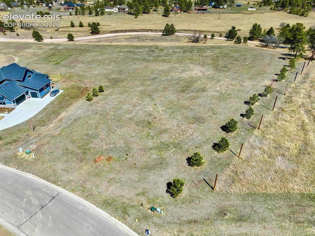 2568 Fox View Trail, Franktown, CO 80116 — photo 4