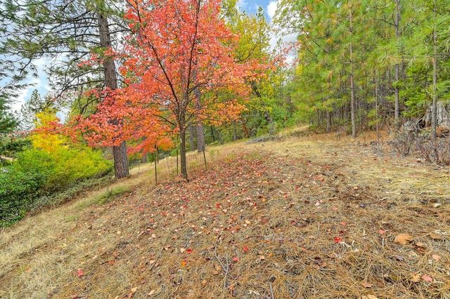 20860 Todd Valley Rd, Foresthill, CA 95631