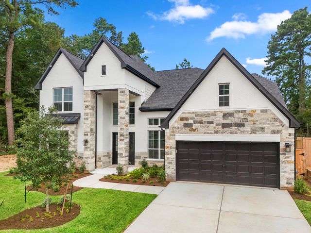 208 Lilac Tree Court, Willis, TX 77318