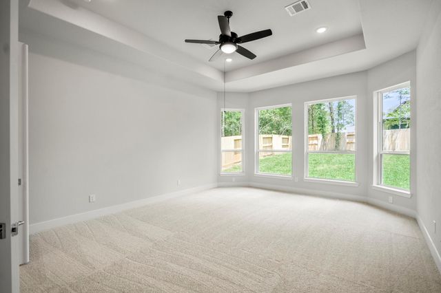 208 Lilac Tree Court, Willis, TX 77318