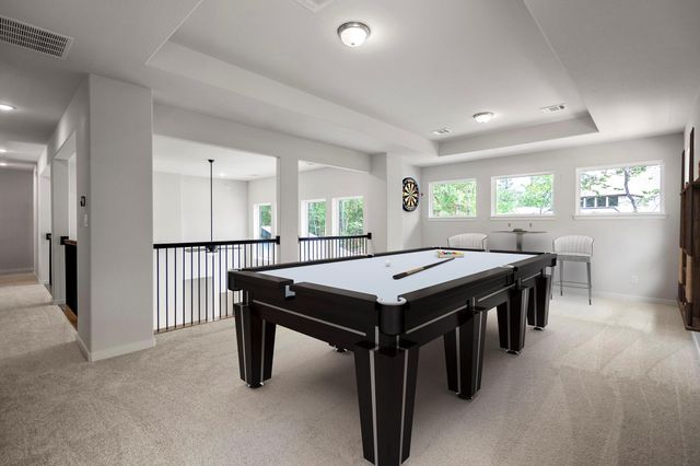 208 Lilac Tree Court, Willis, TX 77318