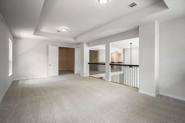 208 Lilac Tree Court, Willis, TX 77318