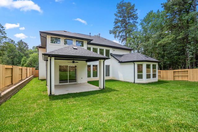 208 Lilac Tree Court, Willis, TX 77318