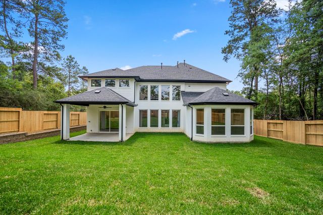 208 Lilac Tree Court, Willis, TX 77318