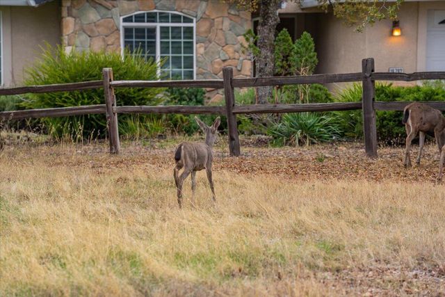 19774 Antler Way, Cottonwood, CA 96022