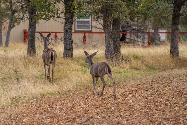 19774 Antler Way, Cottonwood, CA 96022