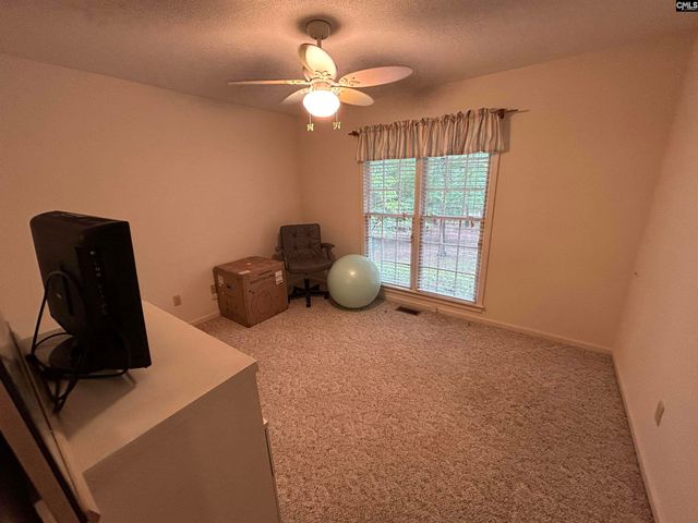 1043 Old Bush River Road, Chapin, SC 29036