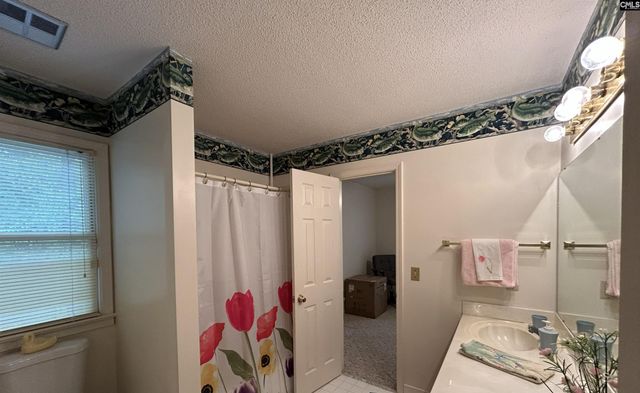 1043 Old Bush River Road, Chapin, SC 29036