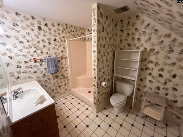 1043 Old Bush River Road, Chapin, SC 29036