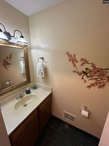 1043 Old Bush River Road, Chapin, SC 29036