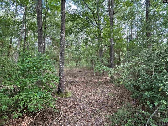 1043 Old Bush River Road, Chapin, SC 29036