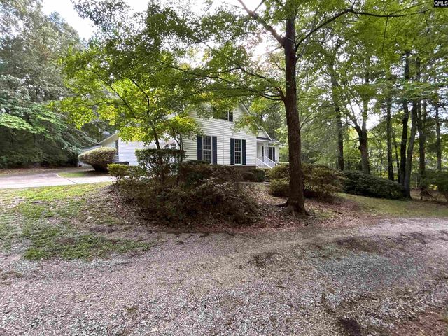 1043 Old Bush River Road, Chapin, SC 29036