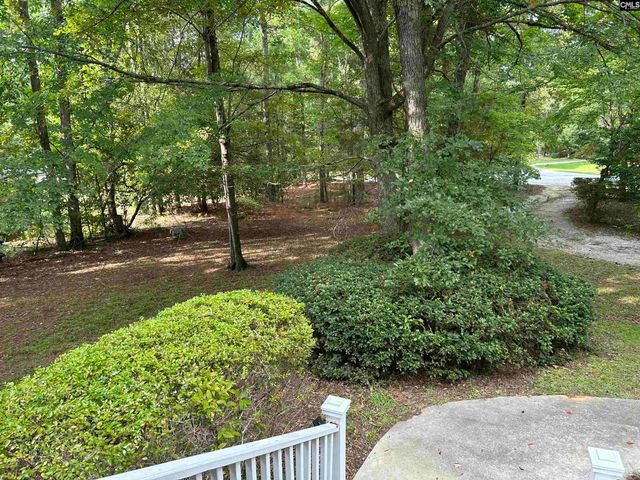 1043 Old Bush River Road, Chapin, SC 29036
