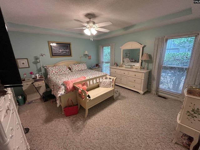 1043 Old Bush River Road, Chapin, SC 29036
