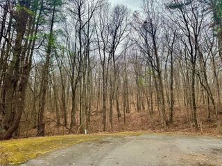 1D Margherita Drive, Pawling, NY 12564