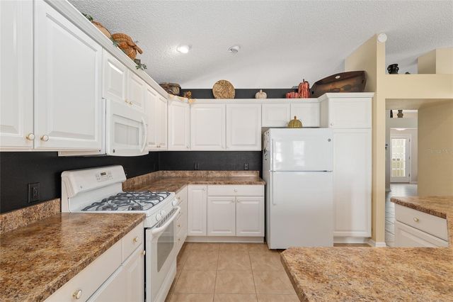 977 CARIBOU WAY, The Villages, FL 32162